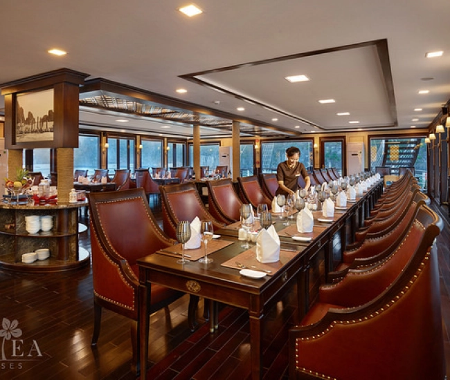 Azalea Cruises