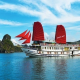 Oasis Bay Cruises
