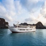 Oasis Bay Cruises