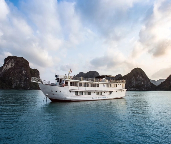 Oasis Bay Cruises