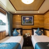 Oasis Bay Cruises
