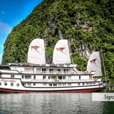 Signature Cruise