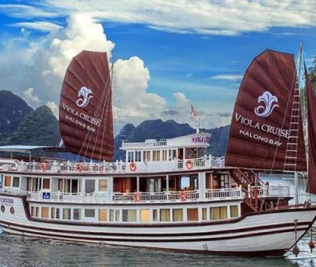 Viola Cruise
