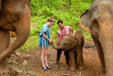 Elephant Conservation Center (B, L, D)