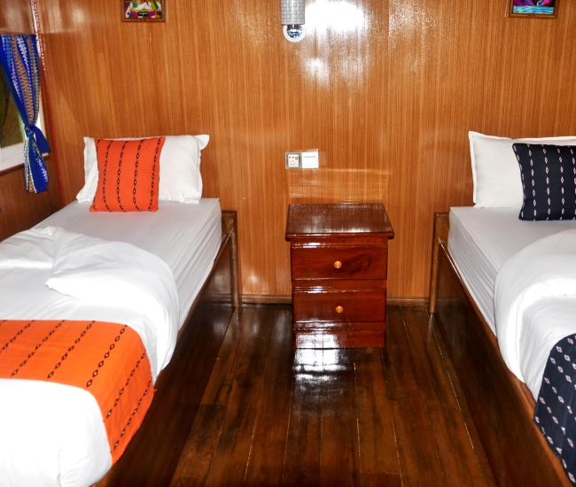 Ayeyarwaddy Butterfly