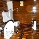 Ayeyarwaddy Butterfly