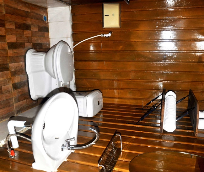 Ayeyarwaddy Butterfly