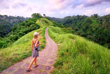 Ubud - Bedugul Botanical Gardens and Ulun Danu Temple – Bali Tree Top Park – Buyan and Tamblingan Lakes – Munduk (B)