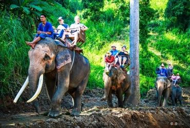 Chiang Mai - Chiang Dao Elephant Riding & Rafting (B)