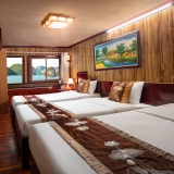 Cozy Bay Cruise