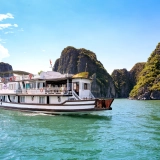 Cozy Bay Cruise