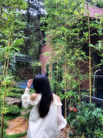 Photo of Ngoc Lan Chu