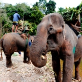 Luang Prabang Tour 5 Days: UNESCO World Heritage Site