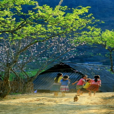 Moc Chau
