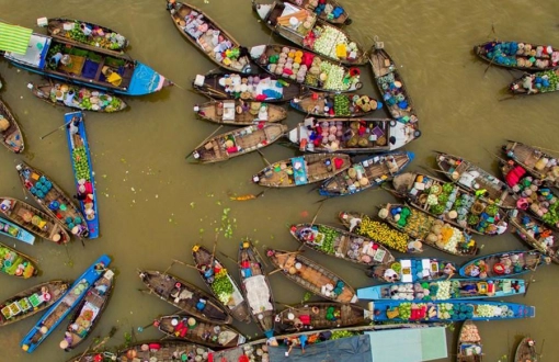 Ultimate Things to do in Mekong Delta 2024