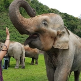 Laos Thailand Tour 9 days: Cultural Immersion