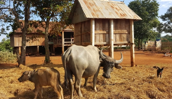 Vietnam Cambodia Tour 23 days: New Border Crossing