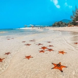 Cambodia Vietnam Tour 12 days: Journey from Angkor to Phu Quoc