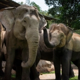Thailand Laos Tour 17 days: A Majestic Trip
