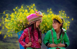 Ha Giang Harmony: 3-Day Cultural Odyssey