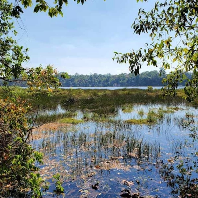 Dong Natad National Protected Area