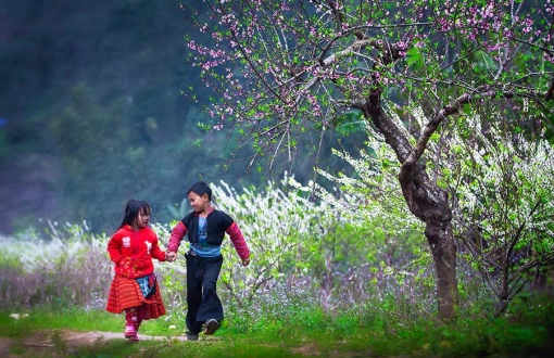 Top 7 Activities To Do In Bac Ha
