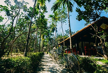Hue- Thuy Bieu Eco village cycling tour (B, L)