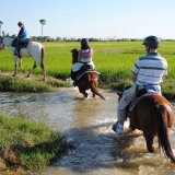 Cambodia Family Tour 10 days: Explore with your loved ones