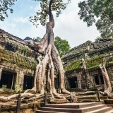 Sweet Honeymoon under the sky of Cambodia