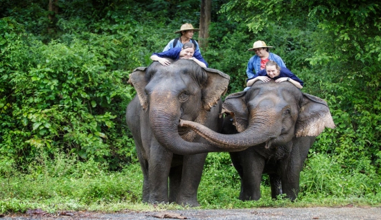 Lampang Tour 3 days: The Elephants Conservation Center