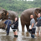 Luang Prabang Family Tour 7 days: Experience The Land of Elephant