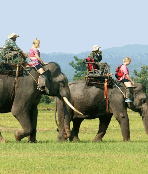 Buon Ma Thuot Tour 2 days: Discovering Lake and Waterfall
