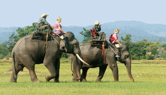 Buon Ma Thuot Tour 2 days: Discovering Lake and Waterfall