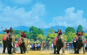 Buon Ma Thuot : 1-day excursion to Ban Don
