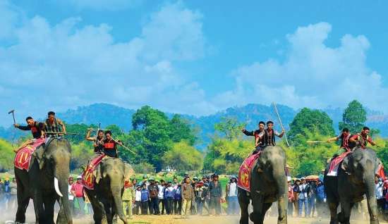 Buon Ma Thuot Trip 1-day: Discovery Ban Don
