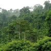 Explore the friendly Ecotourism in Cambodia