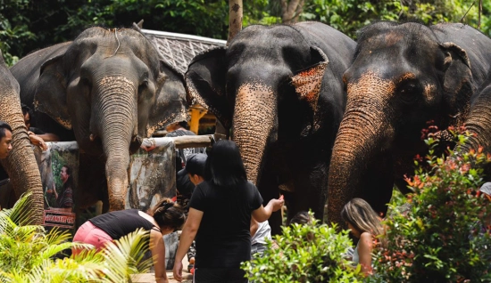 Thailand Tour 14 Days 13 Nights: Discover the highlights of Thailand