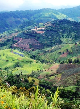 North Thailand Tour 10 days 9 nights