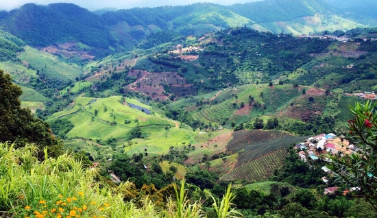 North Thailand Tour 10 days 9 nights