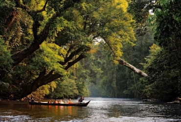 Kuala Lumpur - Taman Negara National Park (B)