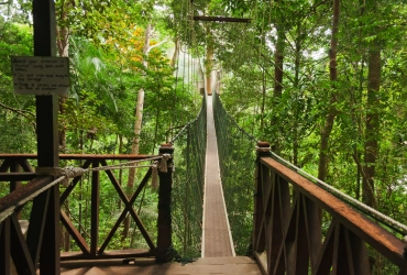 Taman Negara National Park (B)
