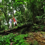 Malaysia tour 14 days: Magnificent Adventure