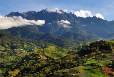 Sabah Tea Garden - Poring Hot Spring - Kinabalu Park - Kota Kinabalu (B)