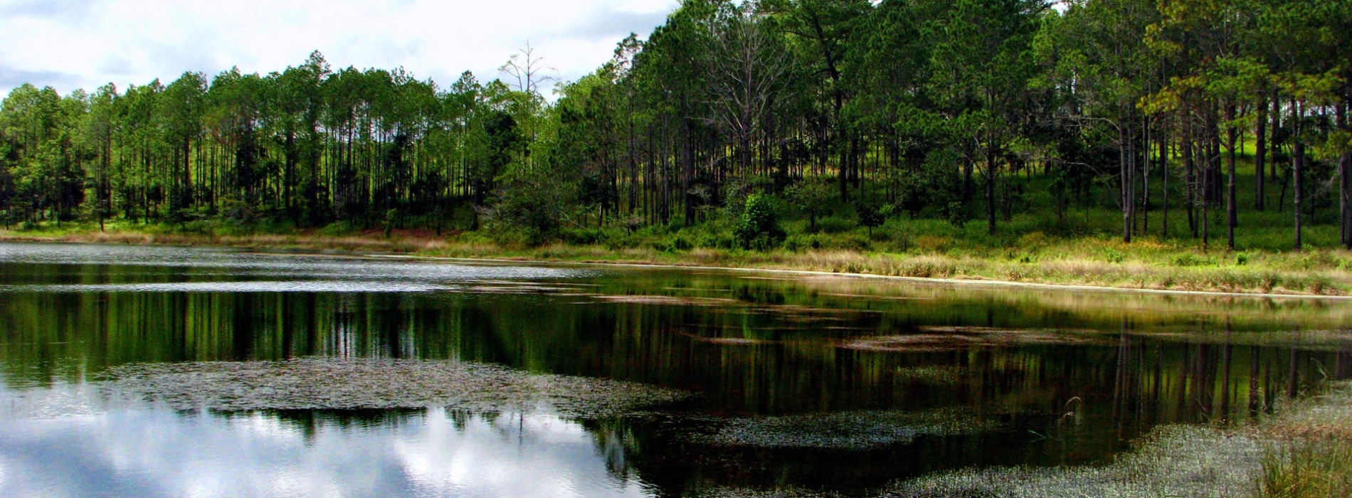 Kirirom National Park