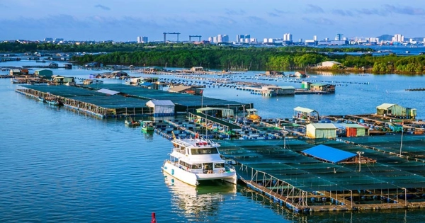 Long Son Raft Village