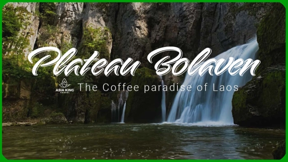 Plateau Bolaven - The Coffee paradise of Laos