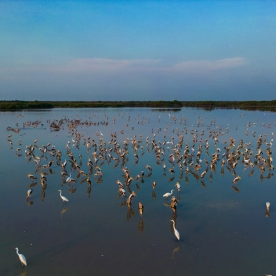 Boeng Peariang Bird Sanctuary