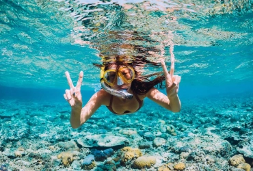 Koh Tao & Koh Nang Yuan by Speed Boat (Snorkeling Trip) (B, L) Join in tour