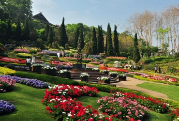 Chiang Rai - Doi Mae Salong - Golden Triangle - Chiang Saen (B)