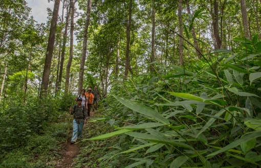 Best attractions for Northern Thailand 5-day trekking tour